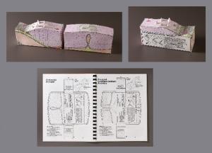 Geoblox Plate Tectonics Models