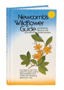 Newcomb's Wildflower Guide