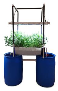 Aquaponic System