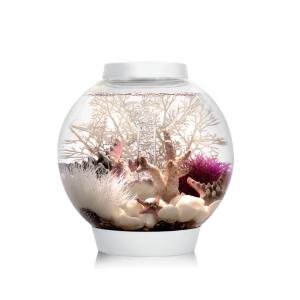 biOrb® CLASSIC Aquaria