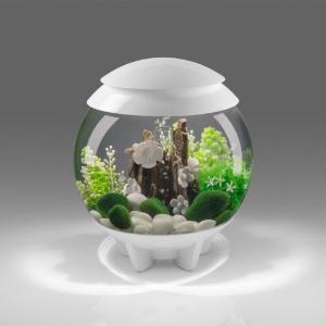 biOrb® HALO Aquaria