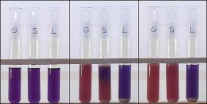 Cellular respiration - what sugar does yeast like best?