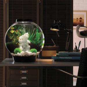 biOrb® CLASSIC Aquaria