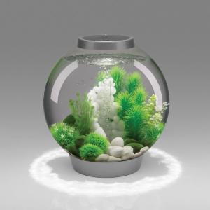 biOrb® CLASSIC Aquaria