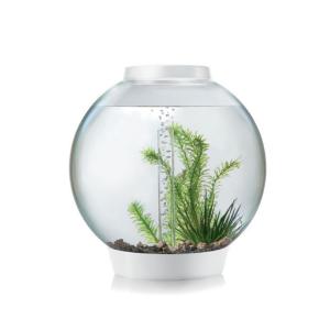 biOrb® CLASSIC Aquaria