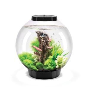 biOrb® CLASSIC Aquaria