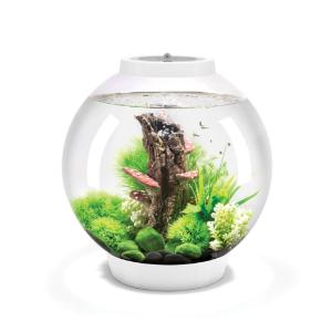 biOrb® CLASSIC Aquaria