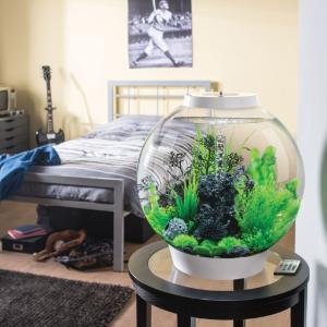 biOrb® CLASSIC Aquaria