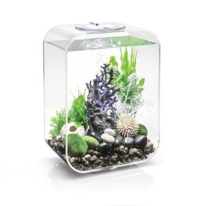 biOrb® LIFE Aquaria