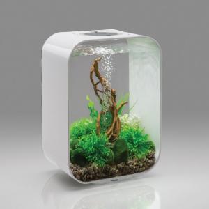 biOrb® LIFE Aquaria