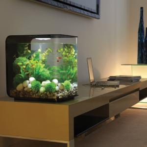 biOrb® FLOW Aquaria