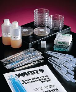 Ward's® Sordaria Genetics Kit