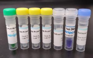 MINIPCR soil antibiotic resistance lab