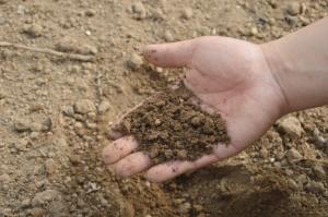 MINIPCR soil antibiotic resistance lab