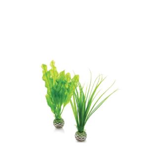 biOrb® Easy Plant Sets