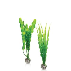 biOrb® Easy Plant Sets