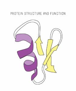 MINIPCR biobits structure and function