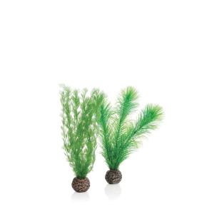 biOrb® Easy Plant Sets