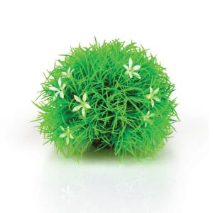 biOrb® Individual Plants