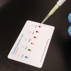 MINIPCR pipette practice cards, set 20