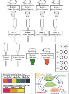 Science Take-Out® Plants In A Bottle: Photosynthesis And Respiration