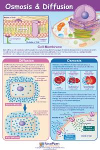 Curriculum Mastery Posters