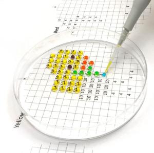 Principles of quantitative PCR