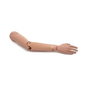 Articulated Right Arm in Medium Skin Tone