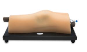 Msk knee µltrasound training model