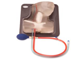 Transparent internal jugular central line µltrasound manikin