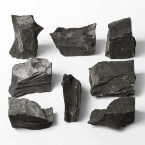 Ward's Science Essentials® Bituminous Shale