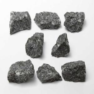 Ward's Science Essentials® Gabbro