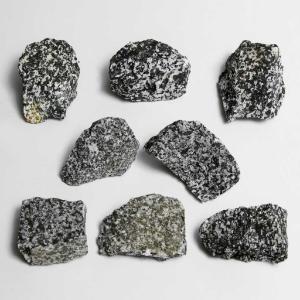 Ward's Science Essentials® Diorite