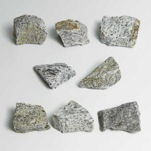 Ward's Science Essentials® Gray Gneiss