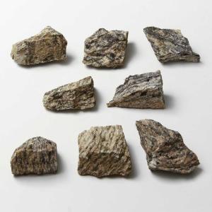 Ward's Science Essentials® Pink Gneiss