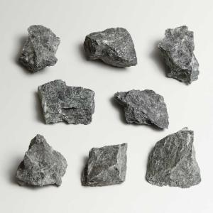 Ward's Science Essentials® Serpentinite