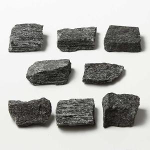 Ward's Science Essentials® Hornblende Schist