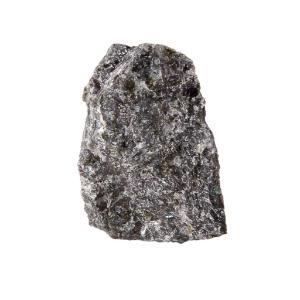 Ward's Science Essentials® Gabbro