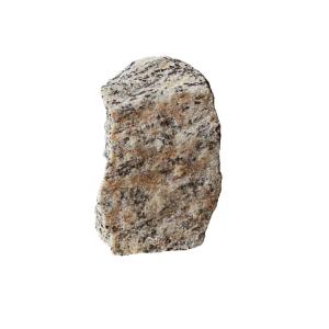 Ward's Science Essentials® Gray Gneiss