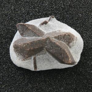 Staurolite (Twin)