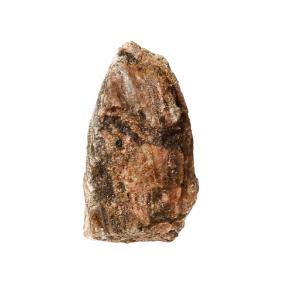 Ward's Science Essentials® Pink Gneiss