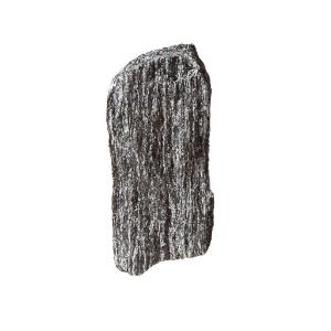 Ward's Science Essentials® Hornblende Schist