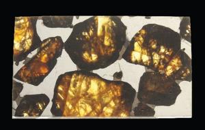 Pallasite (Polished)