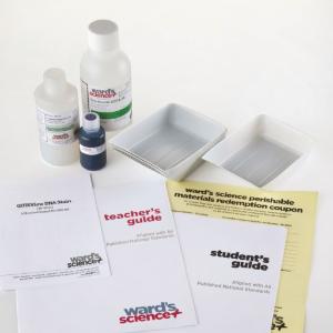 Ward's® Detection of Hereditary Breast Cancer Kit