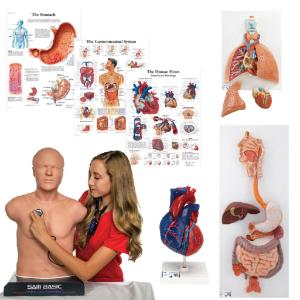 Intro to auscultation kit