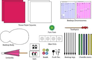 Science Take-Out® Beebops Genetics And Evolution