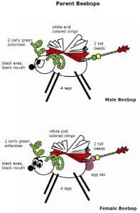 Science Take-Out® Beebops Genetics And Evolution