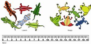 Science Take-Out® What Is It? Dichotomous Keys