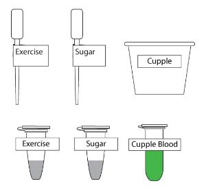 Science Take-Out® Keeping A Balance: Homeostasis And Negative Feedback