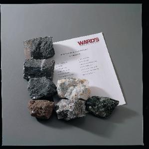 Ward's® Metamorphic Petro-Lab Set